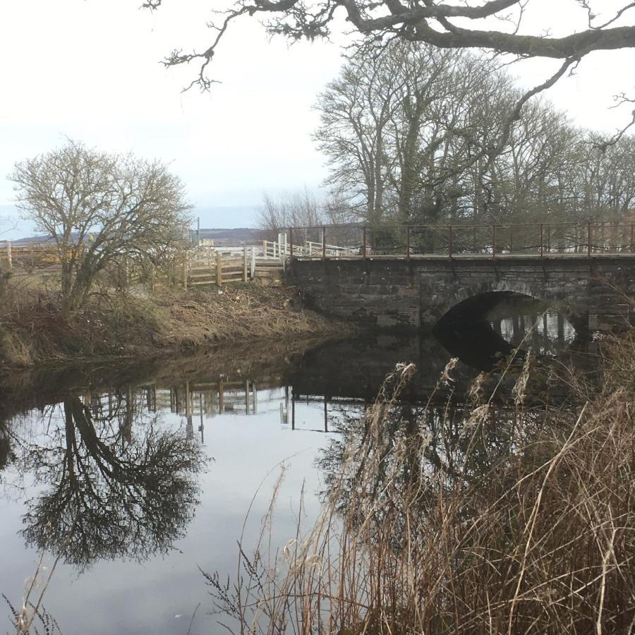 丁沃尔Black Isle View公寓 外观 照片