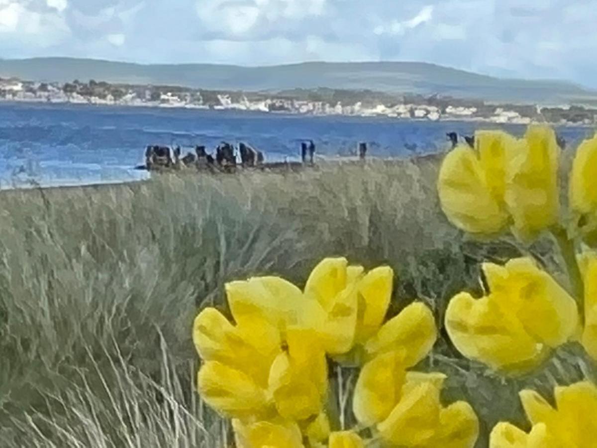 丁沃尔Black Isle View公寓 外观 照片