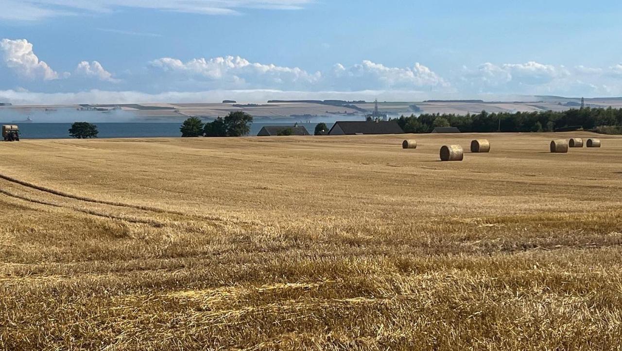 丁沃尔Black Isle View公寓 外观 照片